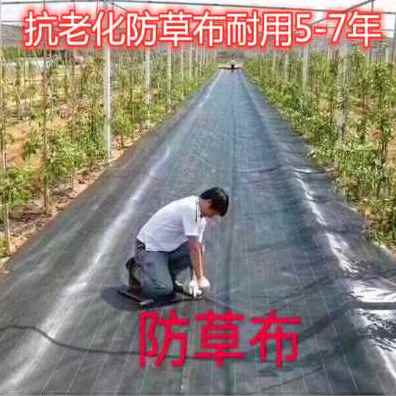 新品厂销防草布除草布农用打孔地布多功A能钉子塑料黑色地膜专用
