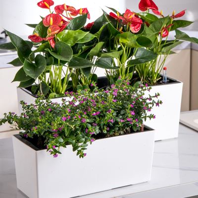 阳台花盆自吸水长方形挂墙壁挂栏杆花箱挂架护栏窗台外悬挂式花槽