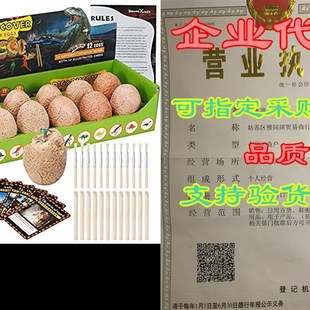 Dino Egg Dig Kit-12 Dinosaur Eggs Dino Egg Excavation Kit