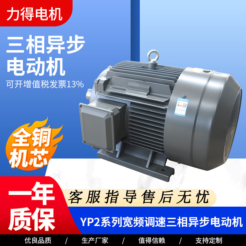 现货YP2系列宽频调速三相异步马达 立卧式全铜线交流电机