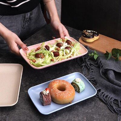 极速Good Dessert Tray Wide Application No Odor Plastic Nordi