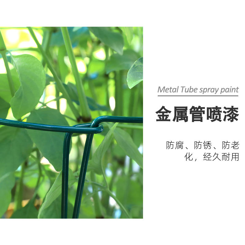 固定花的支架养花用牵牛花爬藤文竹兰花专用护叶架造型园艺支撑杆