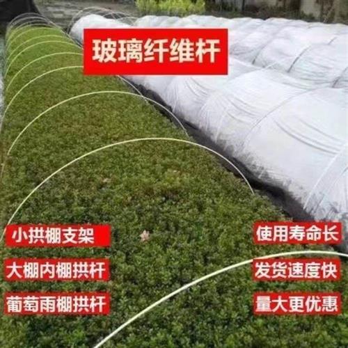 农用小拱棚支架拱竿蔬菜保温棚菜棚杆遮阳防虫网架子玻璃纤维弹力