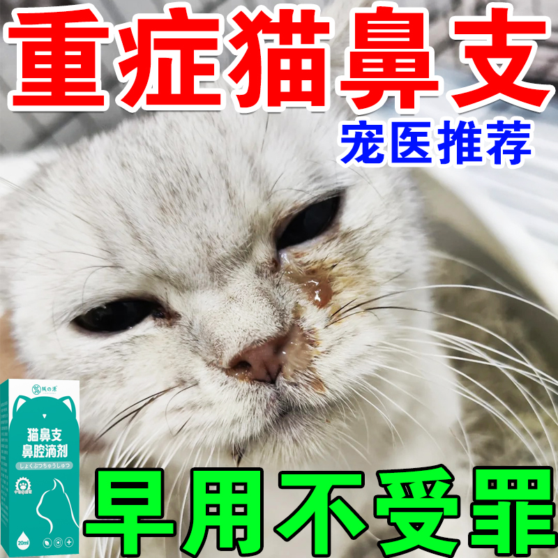 猫咪感冒药呼吸道感染鼻炎
