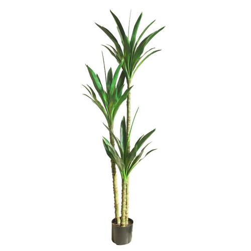 仿真新款翡翠兰简约绿植室内客厅大型摆件侘寂风陈设摆件摄影道具