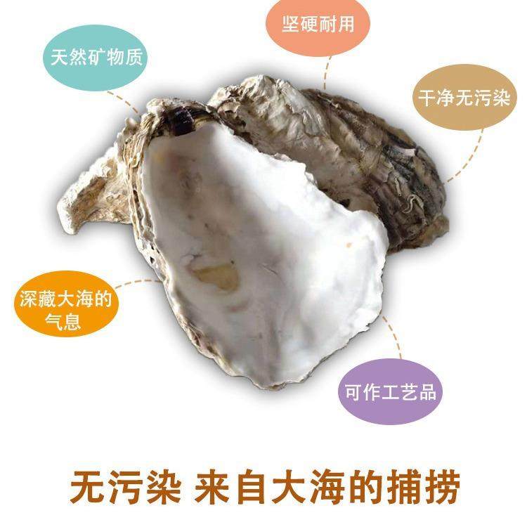 蚝牡蛎池壳大型鱼鱼缸天然过滤材料锦蚝壳牡蛎鲤鱼池滤材稳定H值,宠物/宠物食品及用品,过滤设备,淘宝优惠券,粉丝福利购,淘宝优惠卷