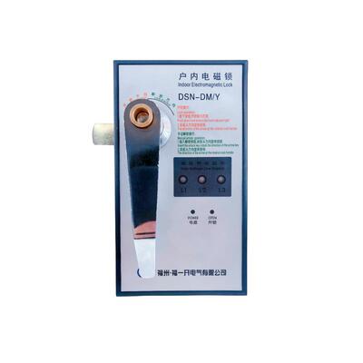 内高压DSN-户DM电磁锁带电显示适DSN-DMY用开关配电柜中置环网柜