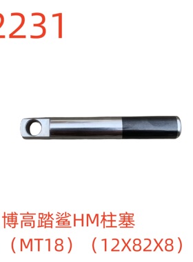 博高踏鲨HM柱塞（MT18）（12X82X8）-52231号
