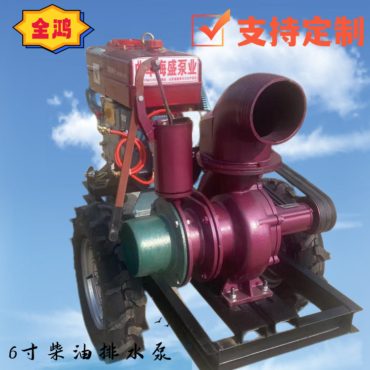 防汛园林喷灌泵单缸柴油机6寸抽水泵抢险建筑汽油抽水机