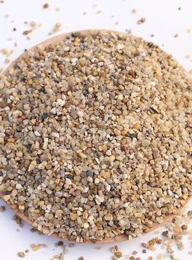 黄色石英砂颗粒现货水处理滤料鱼缸垫底园林铺路过滤小沙子