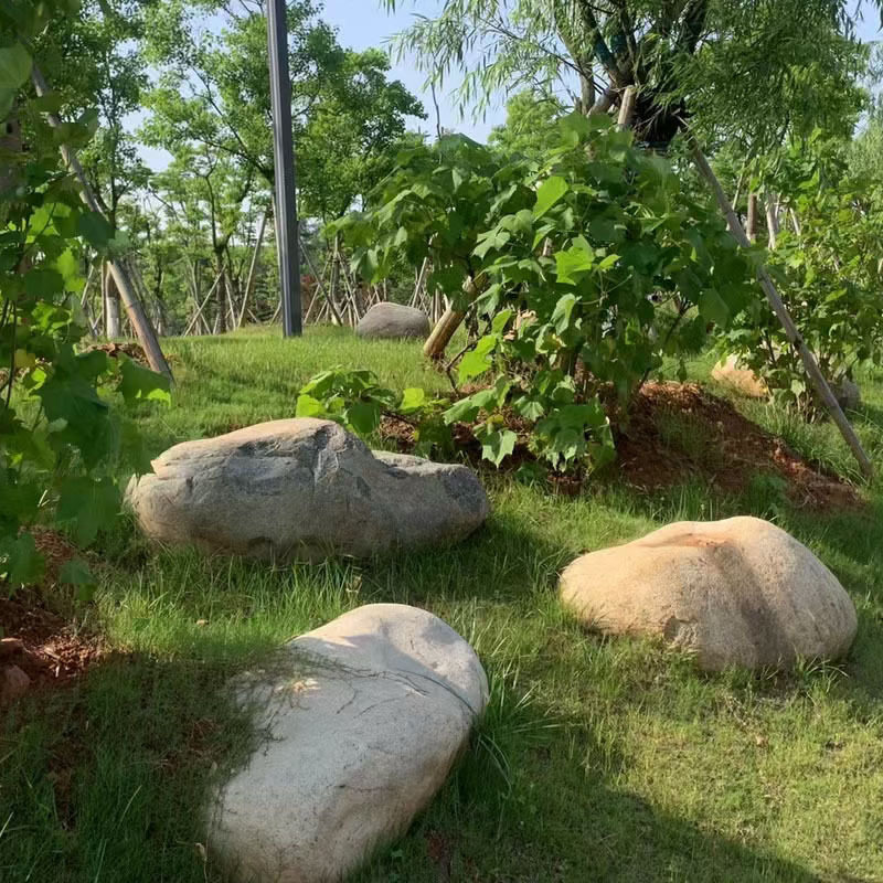 各类鹅卵石批发 草坪石销售景观石 卵石批发驳岸水系设计与施工