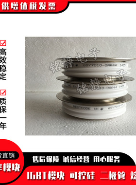 可控硅 晶闸管6SY7010-0AA53 6SY7010-0AA54