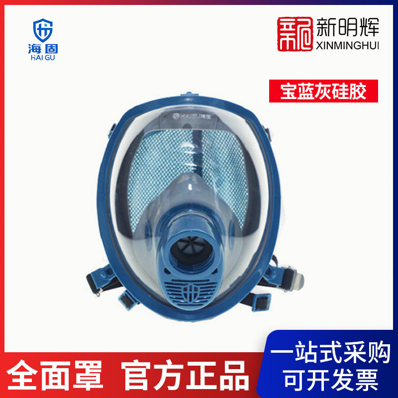 海固HG-800宝蓝灰硅胶全面罩  防毒防颗粒物双重过滤面罩带呼气阀