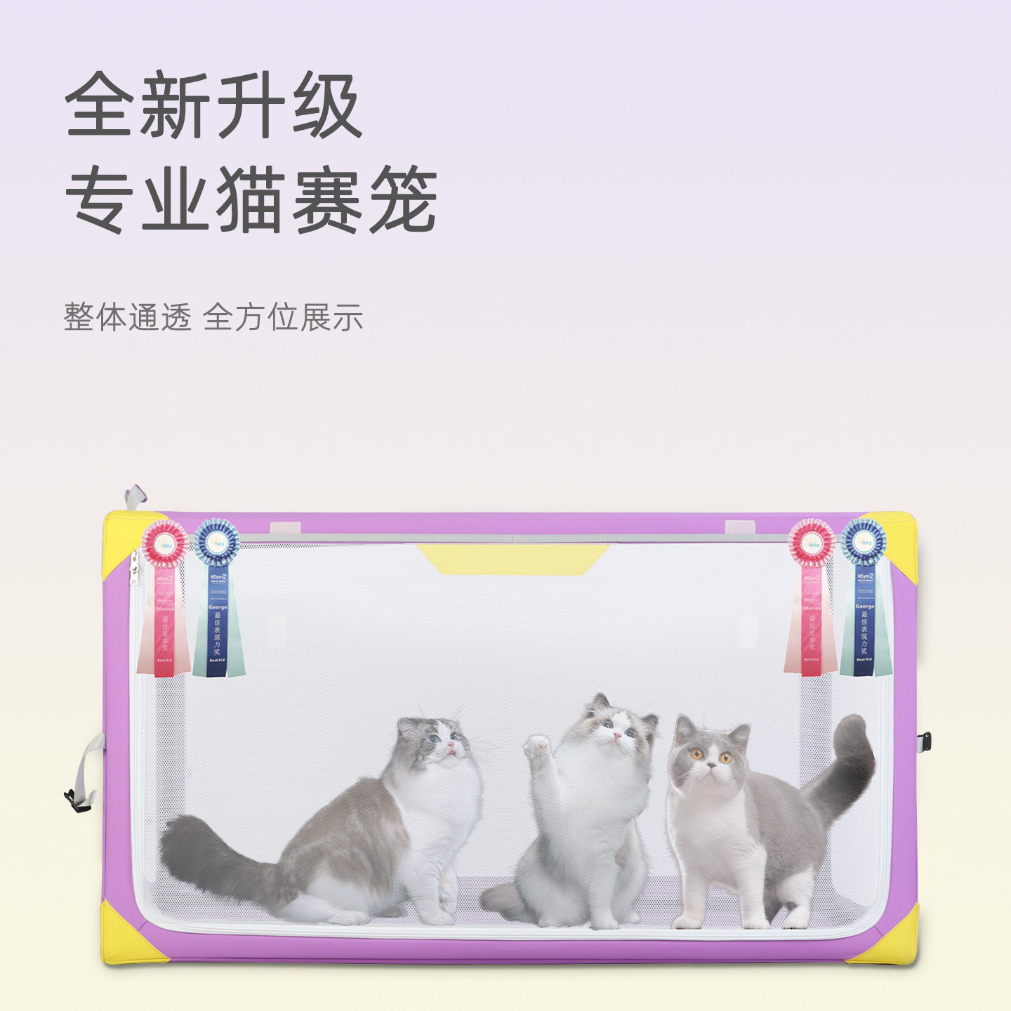 DODOPET猫赛笼一体式免安装猫咪专业比赛透明展示笼外出便携猫笼