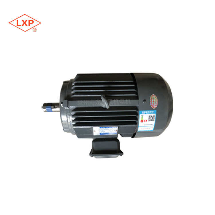 龙欣 YE3系列 2-5.5KW 三相异步电机 运行性能强力