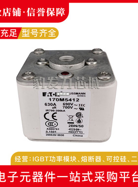 170M5565 170M5566 170M5567 170M5568全新熔断器现货