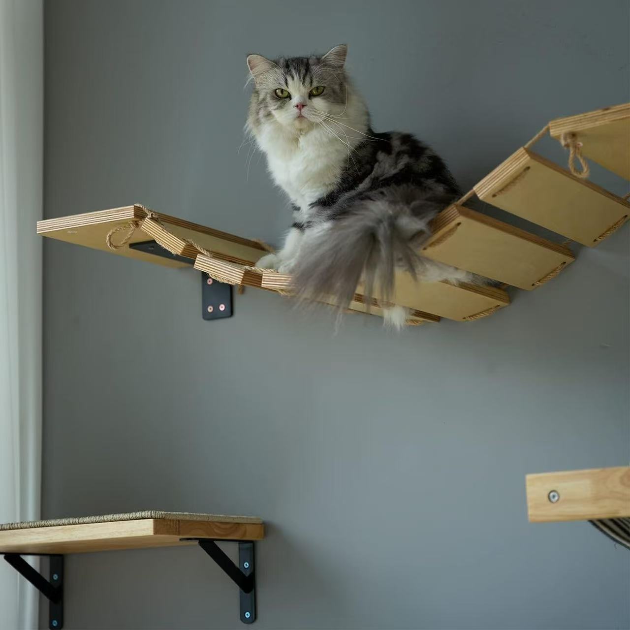 壁挂式猫桥木质猫爬架宠物猫咪墙上爬梯不占地猫咪玩具软吊桥