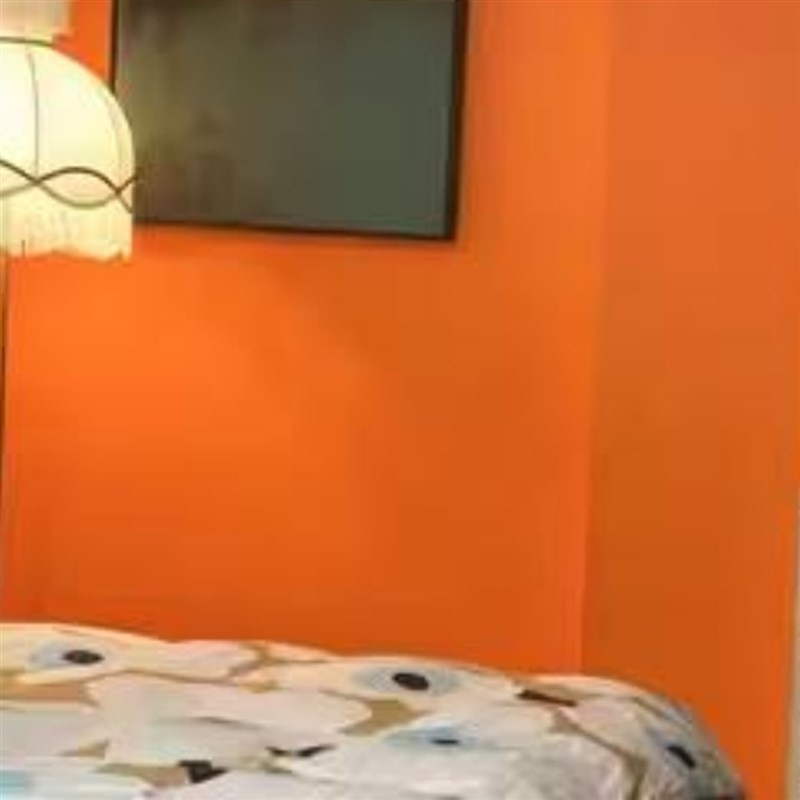 鲜橙橘黄爱马橙酱橙色内外墙防水环保净味家N装自刷哑光乳胶漆涂