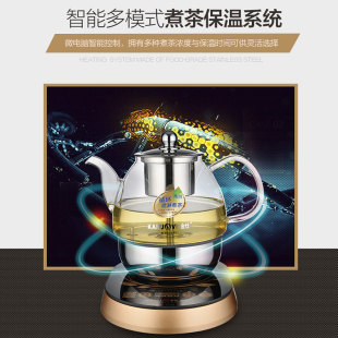 99全自动蒸汽煮茶器煮黑茶玻璃壶电热水茶壶养生壶茶炉a99 金灶A