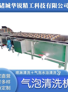 果蔬鼓泡气泡清洗机喷淋式瓜果洗菜机蔬全自加动FHR冷却机工流菜