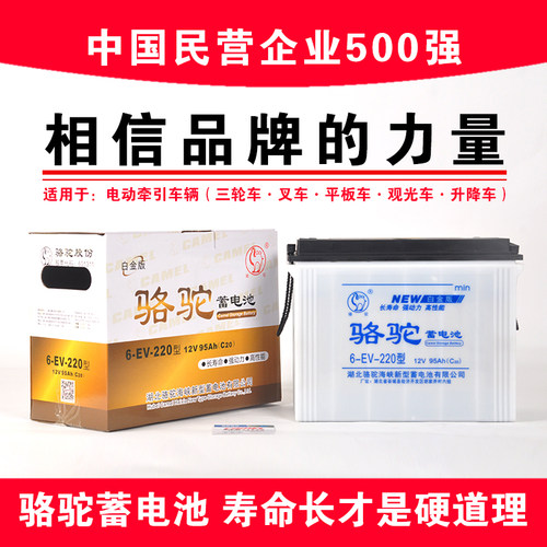 【官方推荐品】电动三轮车水电瓶