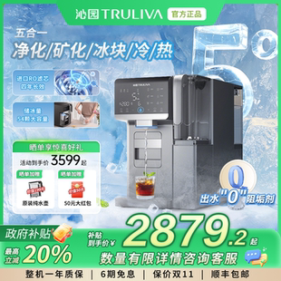 制冰矿化家用台式 政府补贴沁园冰块饮水机2025新款 净饮直饮机加热