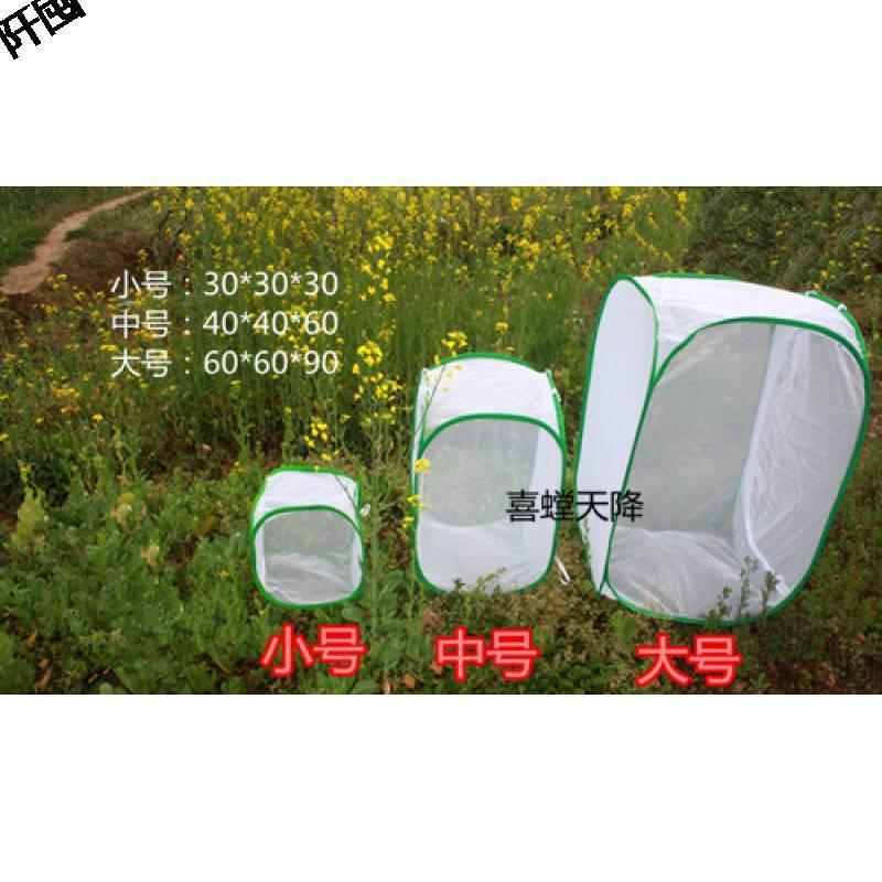 适配螳螂饲养网箱可折叠联盟网笼螳螂昆虫网便携饲养盒蚕蛾壁虎鸣