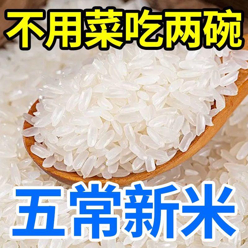 【五常新米】10斤东北稻花五常长粒香米5斤正宗东北御贡大米