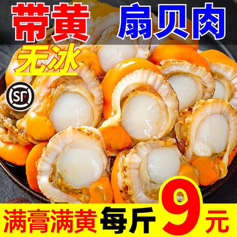 扇贝肉新鲜冷冻特级大扇贝肉海鲜水产鲜活特大蒜蓉粉丝带膏带黄