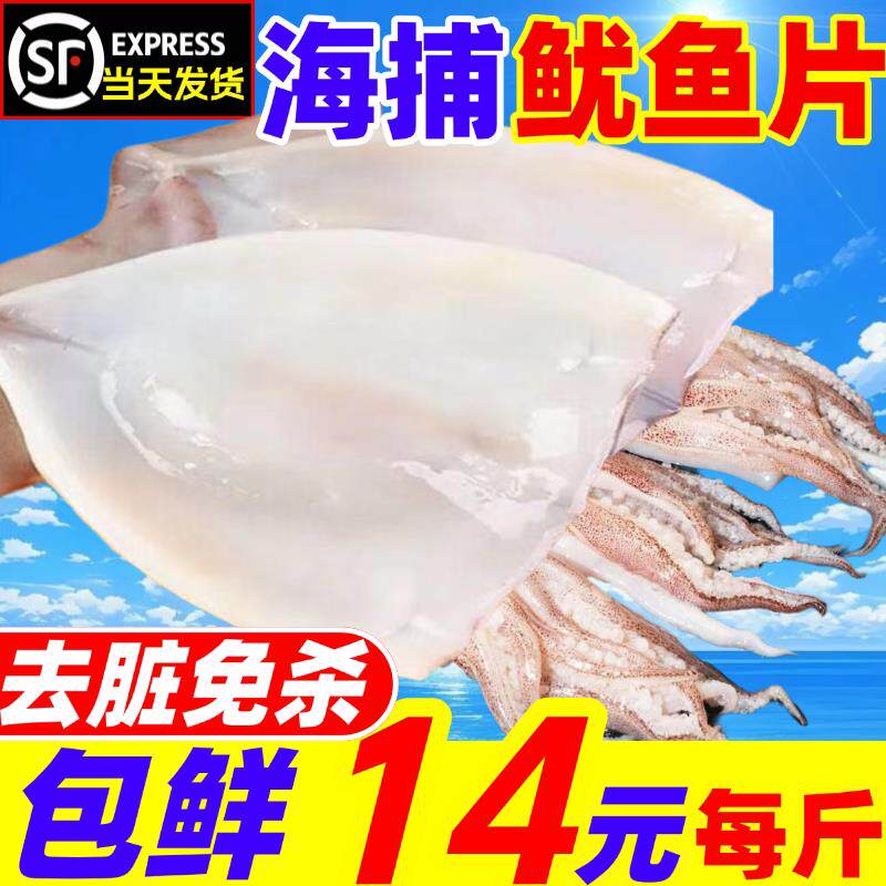 去内脏鱿鱼免处理鱿鱼片须海捕尤鱼鲜活冷冻整条商用铁板烧烤海鲜