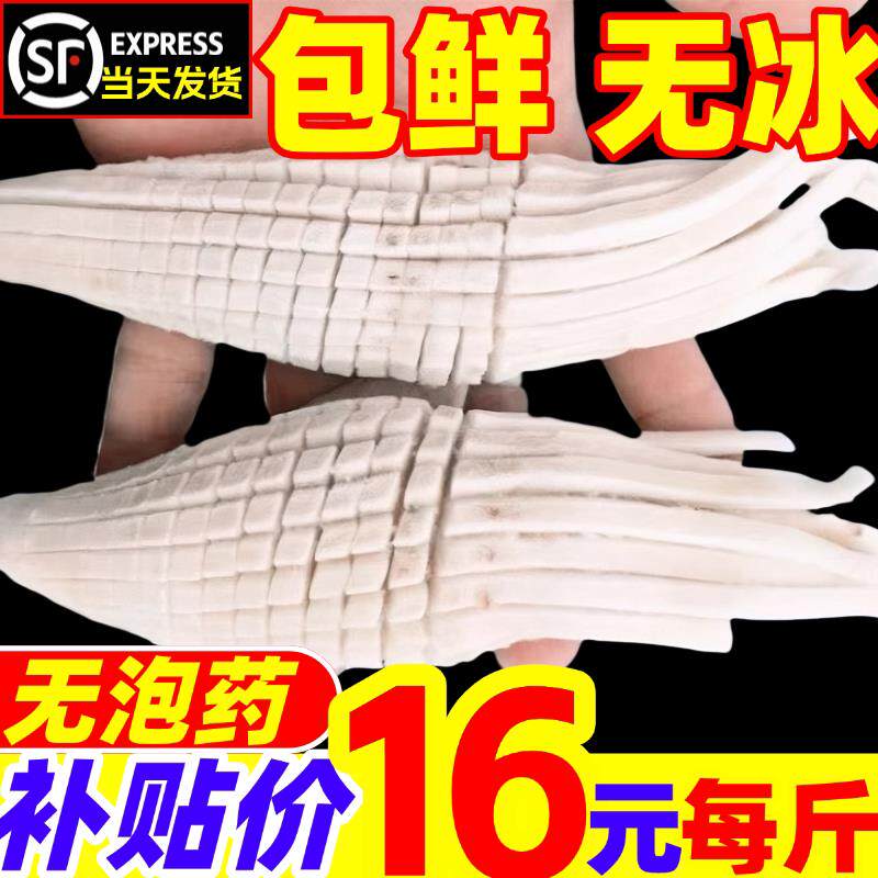 火箭鱿鱼铁板烧鱿鱼新鲜冷冻商用火锅食材水发串串冒菜鱿鱼海鲜