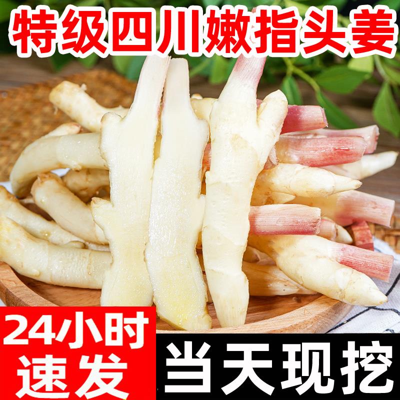 嫩姜新鲜四川指头大仔姜现挖子姜山东红芽老生姜非云南小黄糖醋姜