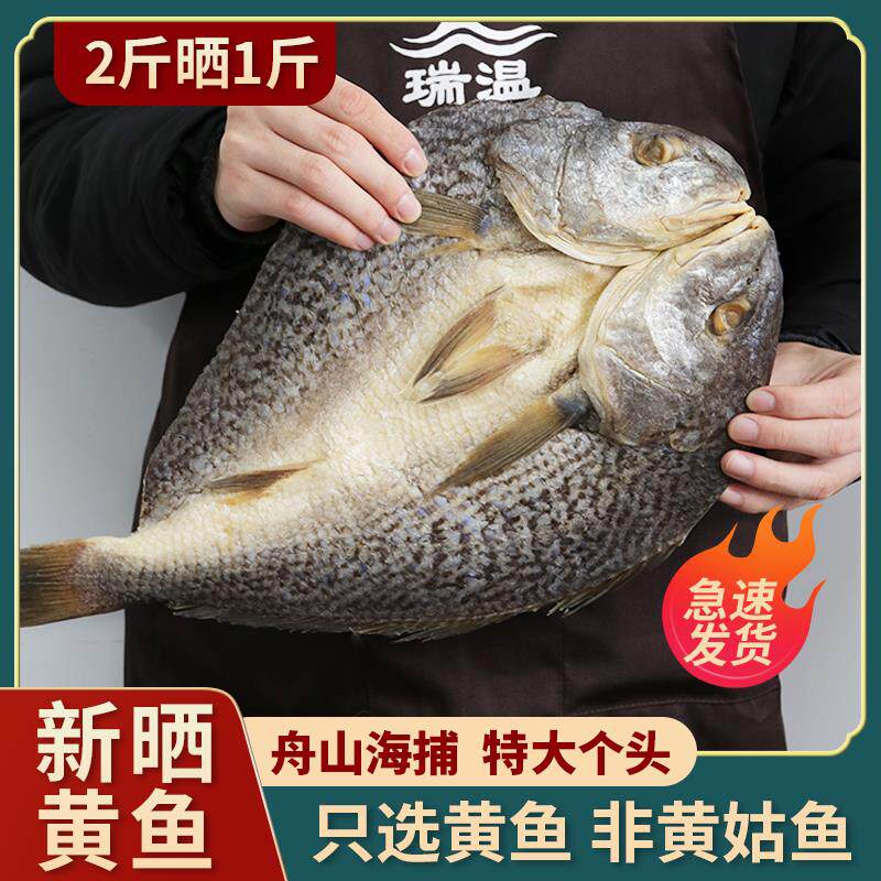 胖子新晒大黄鱼鲞黄花鱼干 干咸白鲞海鱼海鲜宁波特产黄三鲞咸鱼