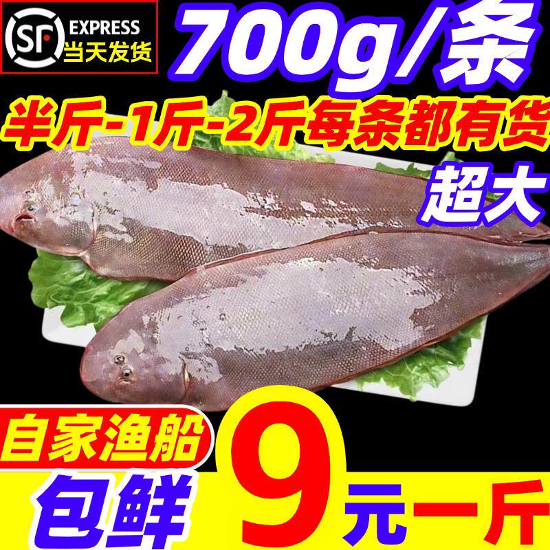 龙利鱼海捕舌头鱼新鲜冷冻踏板鱼带皮海鱼鳎米鱼宝宝辅食海鲜水产