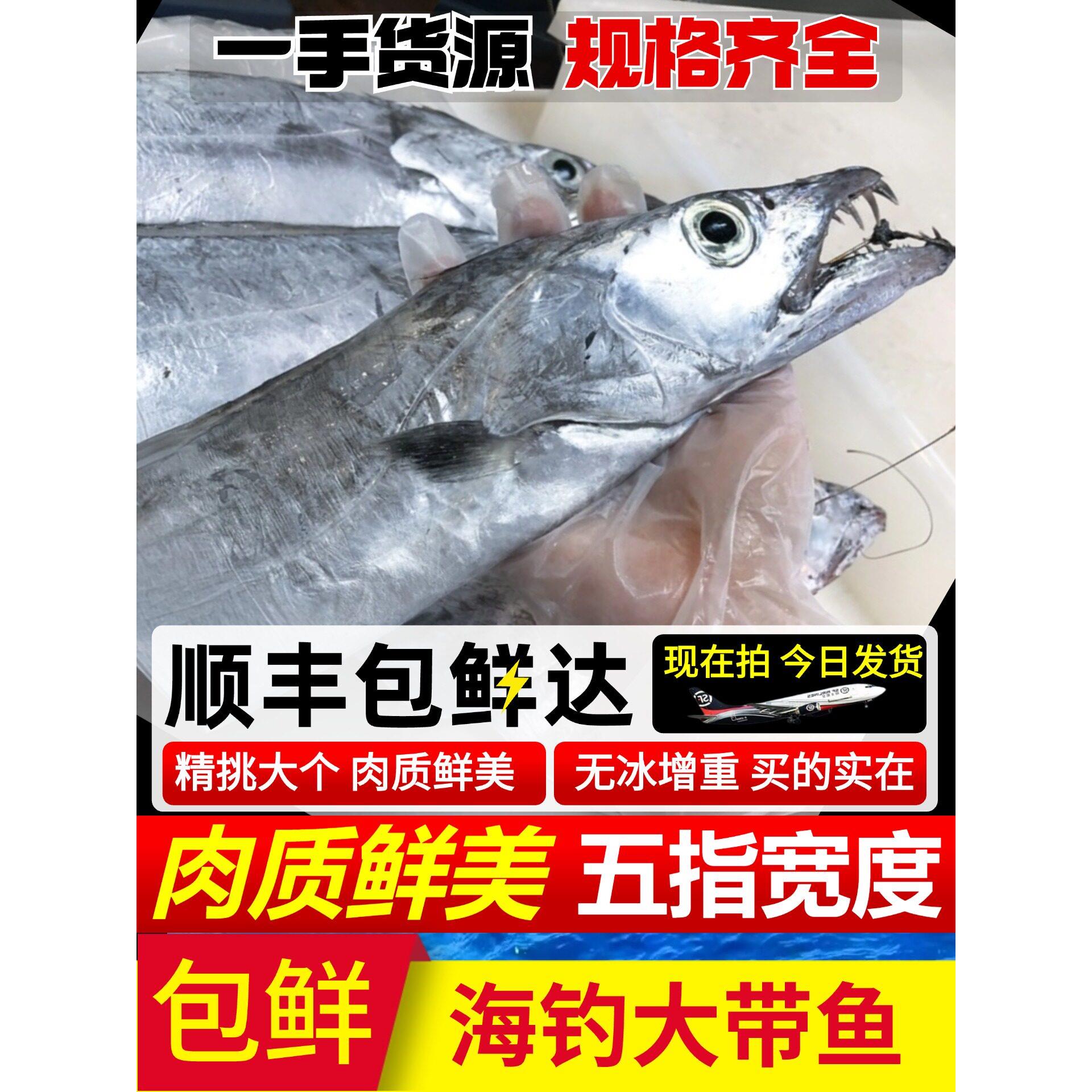 带鱼新鲜刀鱼海鲜水产鲜活冷冻海钓东海雷达网整条小眼油带鱼钓带
