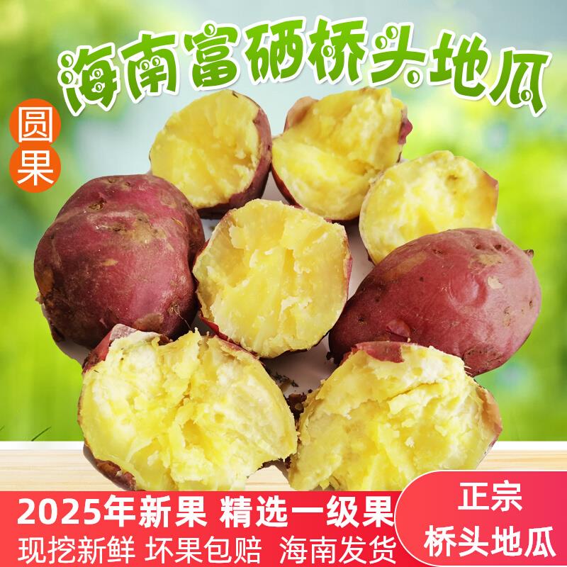 海南桥头地瓜澄迈正宗富硒沙地番薯圆果粉糯香甜新鲜黄心板栗红薯