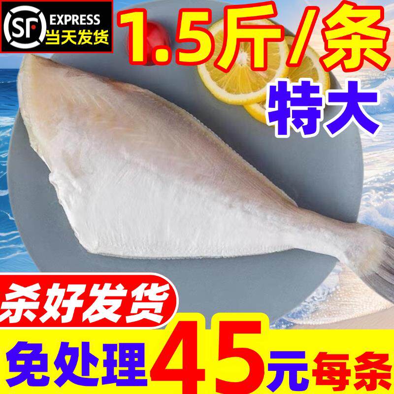 耗儿鱼马面鱼新鲜冷冻扒皮鱼特大巨无霸老鼠鱼火锅食材商用海鲜