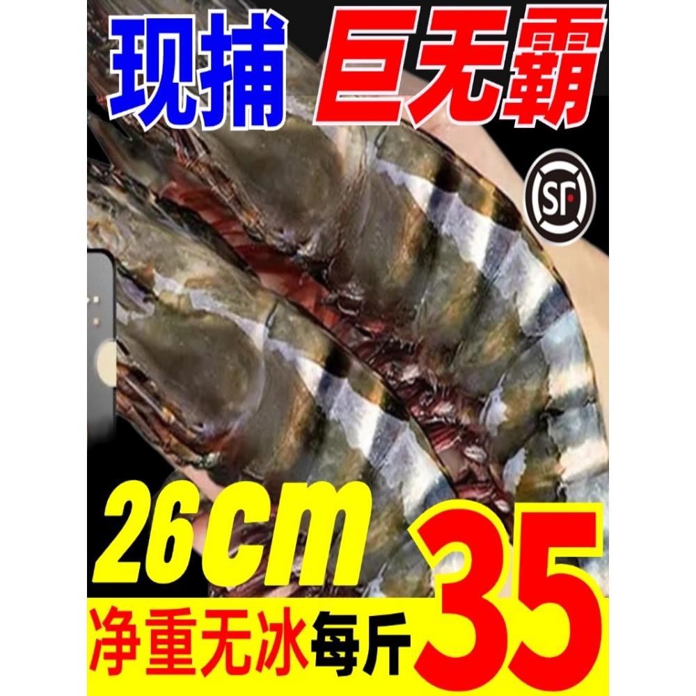 黑虎虾鲜活超大虾鲜活速冻九节虾海鲜水产金刚虾新鲜特大老虎虾