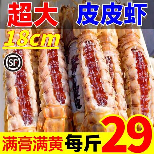 皮皮虾鲜活超大特大冷冻濑尿虾非即食富贵虾海鲜水产虾爬虾姑虾婆