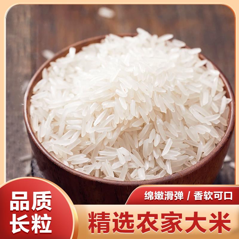 长粒香米丝苗米当季新米猫牙米现磨现发大米象牙米煲仔饭蛋炒饭