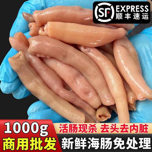 新鲜海肠冷冻鲜活沙虫免处理海肠子皮1000g海肠捞饭海鲜水产商用