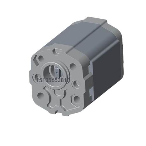 新款博顿齿轮泵BAP1.2FQ2R7.8G4L1-Q1 BAP1.2FQ2R0.8G4L包邮