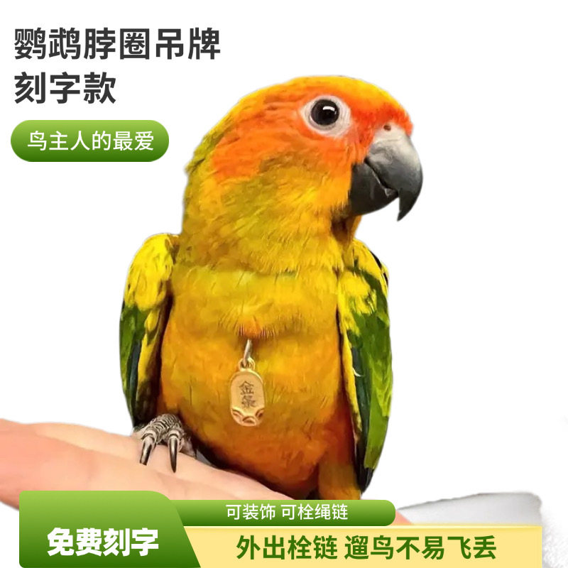 牡丹刻字鹦鹉小太脖套玄凤和尚金太阳吸蜜脖圈链子虎皮脚环放飞绳