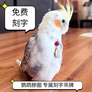 鹦鹉刻字脖圈小太阳和尚脖套不锈钢站架链牡丹玄凤凯克吸蜜放飞