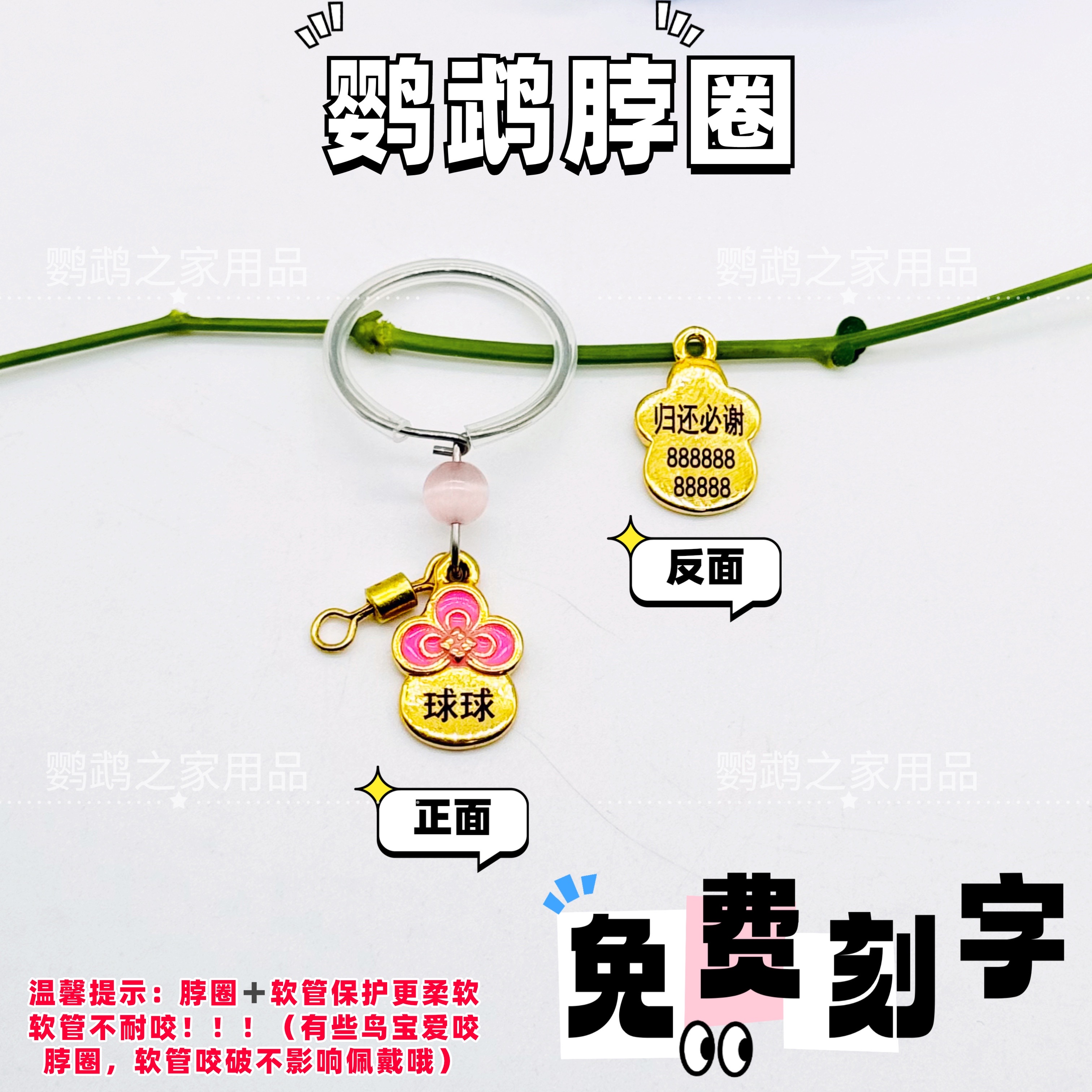 鹦鹉脖套链子鸟脖圈玄凤虎皮牡丹和尚金太阳小太阳脚环脚链刻字牌