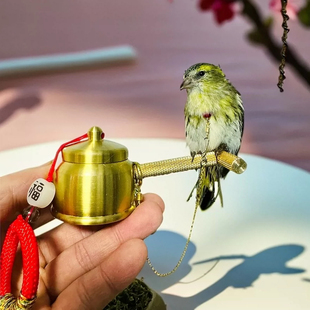 大山雀贝子黄雀脖套栓鸟链子不锈钢鹦鹉脖圈绣眼文鸟小型鸟类脖套