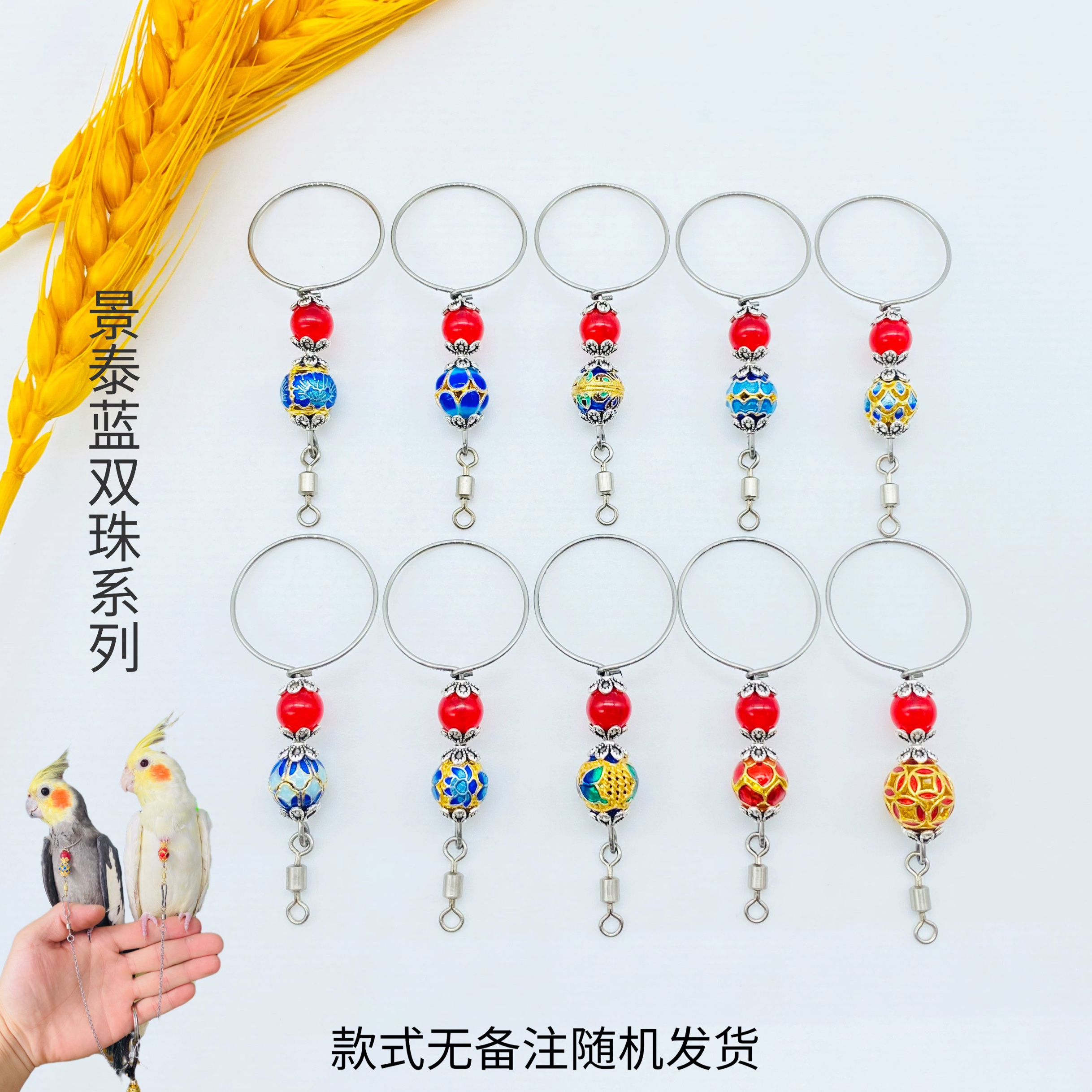 鹦鹉不锈钢脖套训练脖圈遛鸟放飞绳脚链玄凤牡丹小太栓鸟链子绳