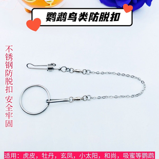 鹦鹉脚链防脱扣不锈钢链子脚环防咬牡丹玄凤小太和尚放飞绳站架