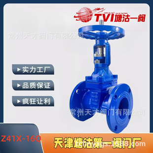 16Q球墨铸铁闸阀泵房 Z45X 天津塘沽一阀 TVI暗杆法兰软密封闸阀