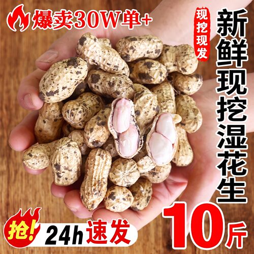当季新鲜现挖湿花生2026新货带壳